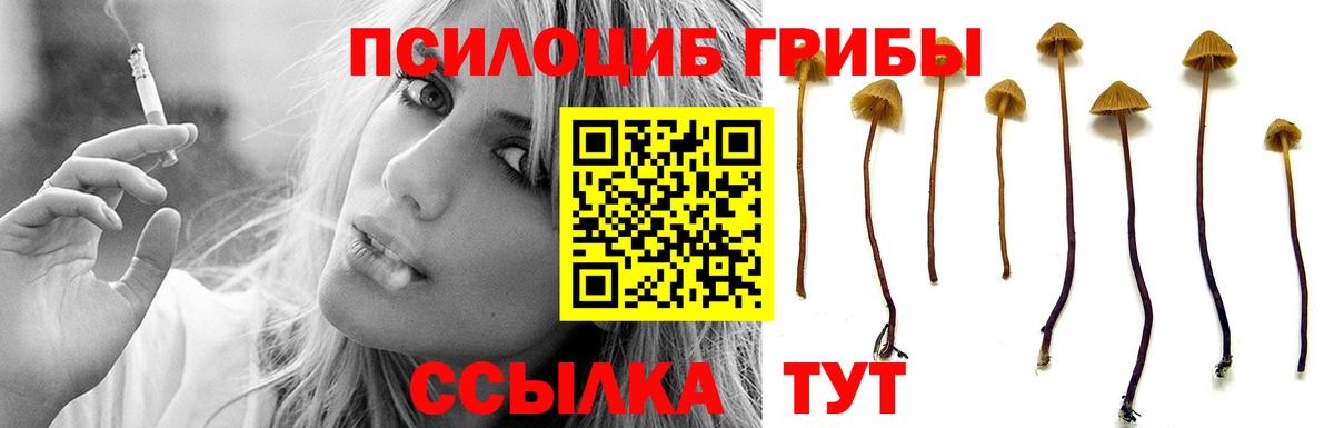 Галлюциногенные грибы MAGIC MUSHROOMS  Псилоцибиновые грибы ЛСД  Вход с VPN  где купить наркоту  Ставрополь 